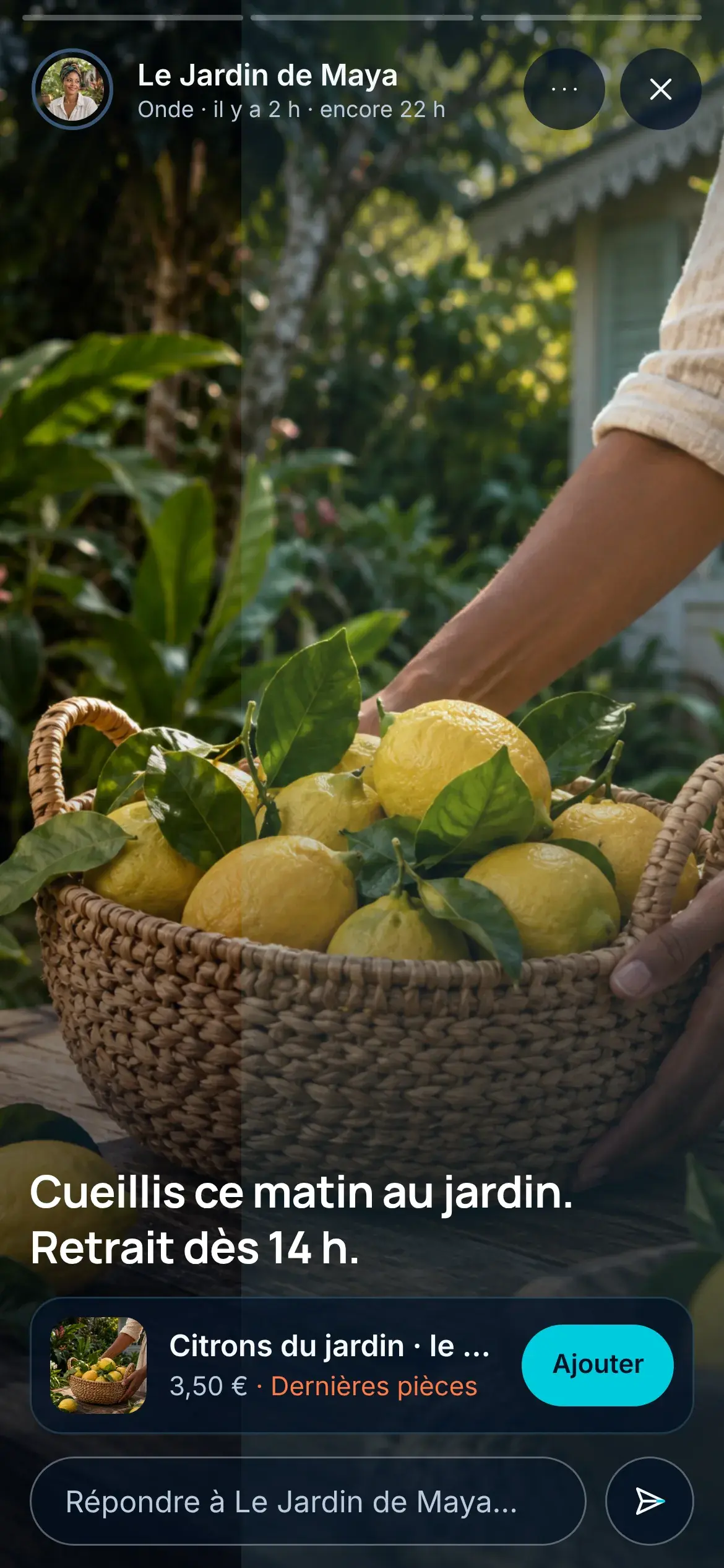 Une Onde du Jardin de Maya : un panier de citrons, « Cueillis ce matin au jardin. Retrait dès 14 h. », l’article Citrons du jardin à 3,50 € et le bouton Ajouter.