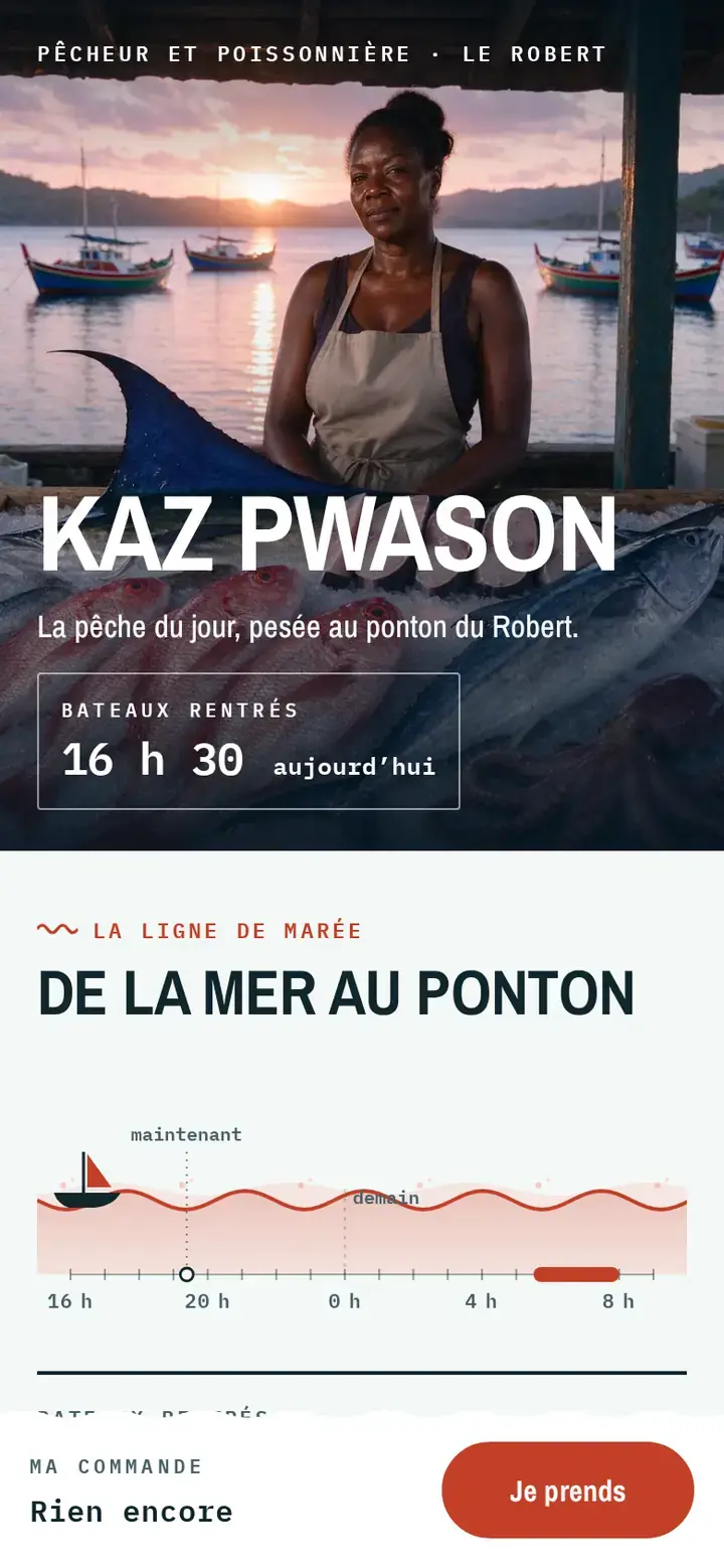 La même vitrine sur téléphone