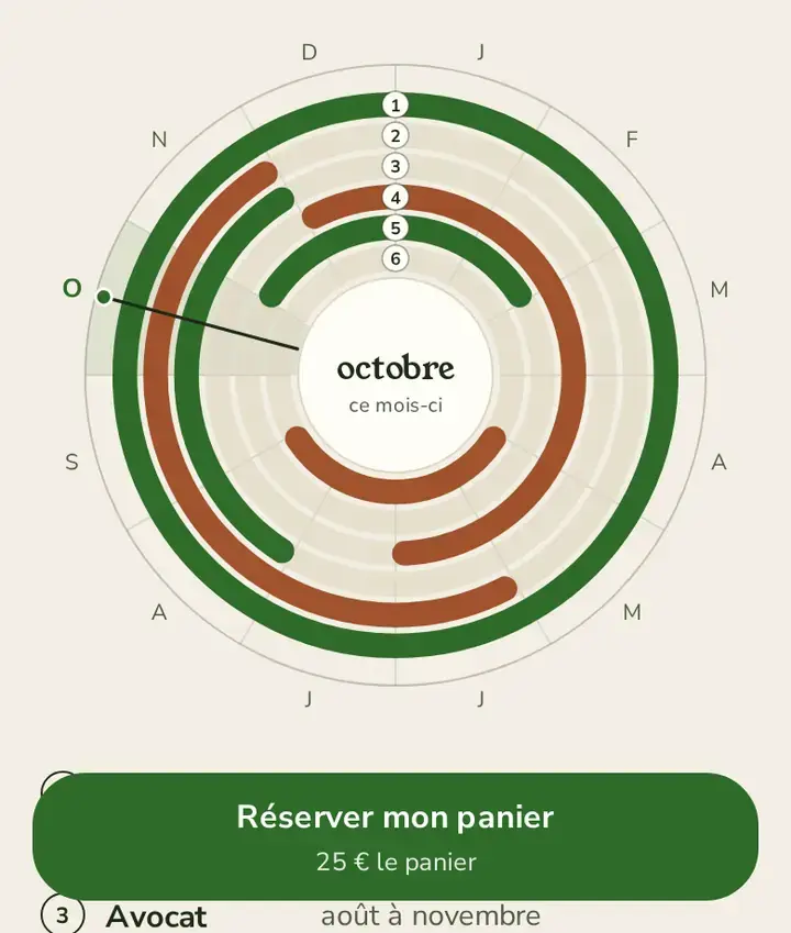 La roue des saisons, dans le thème Jaden